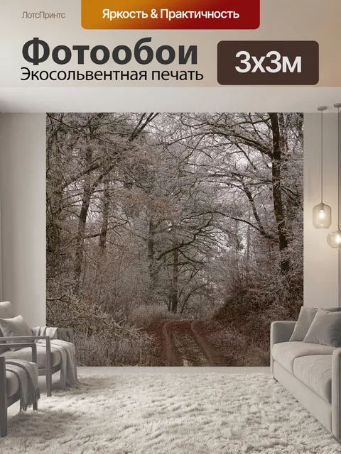 Фотообои Лес