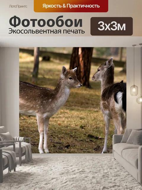 Фотообои Олень