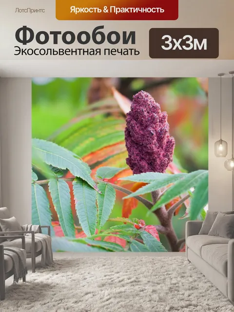 Фотообои Осеннее дерево Цвета