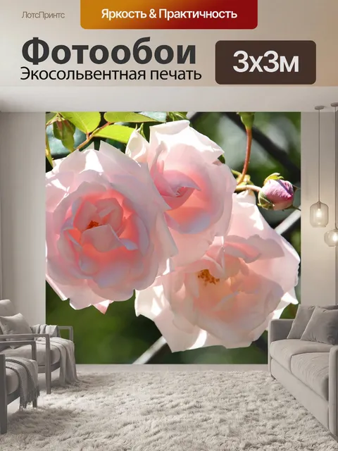 Фотообои Розы