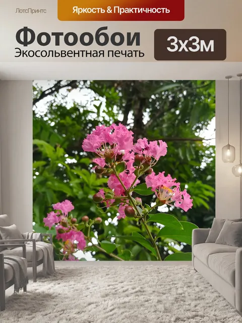Фотообои Цветок