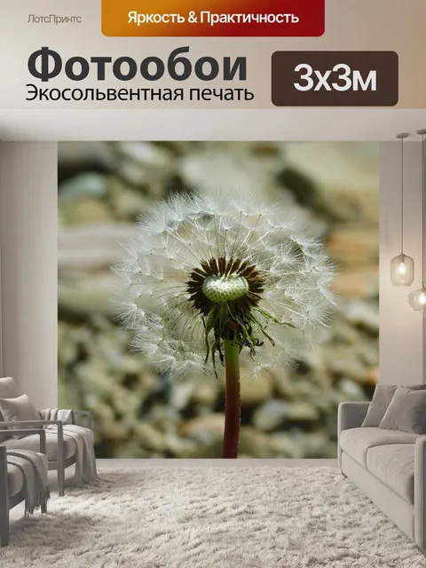 Фотообои Осот огородный