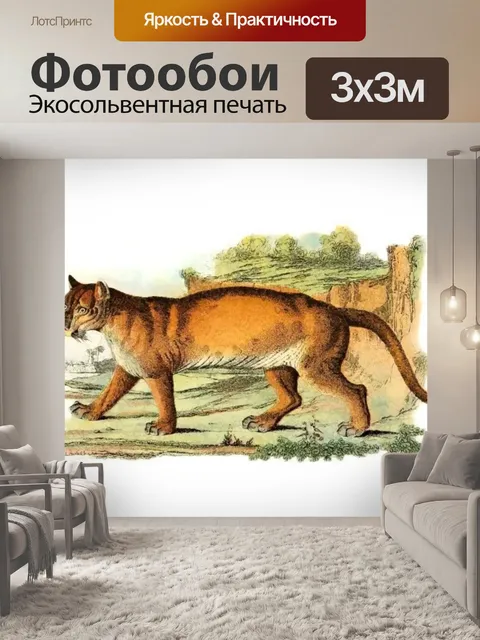Фотообои Большая кошка кошка старинное искусство