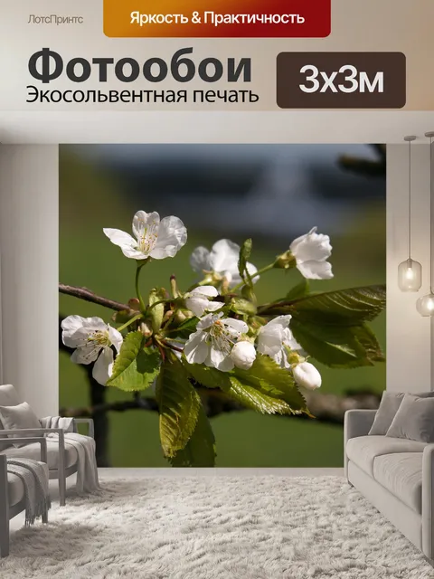 Фотообои Вишня в цвету