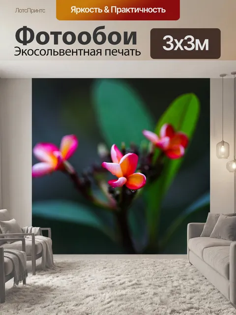 Фотообои Frangipani