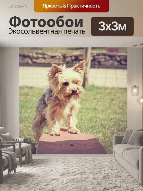 Фотообои Собака