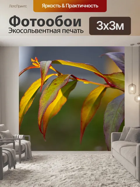 Фотообои Листья