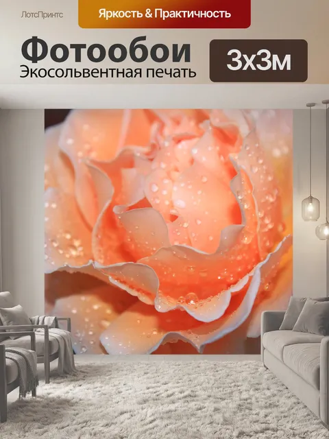 Фотообои Роза