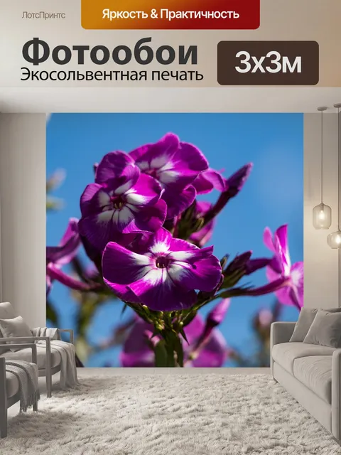 Фотообои Цветок