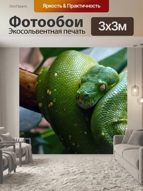Фотообои Линия