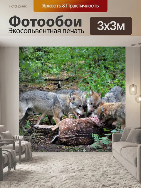 Фотообои Волк