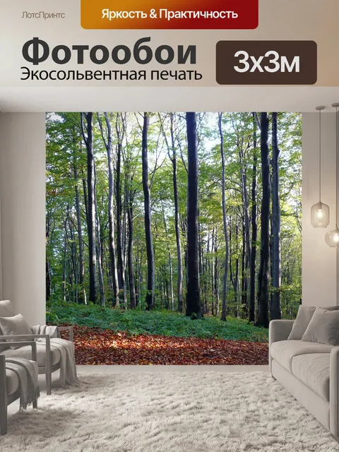 Фотообои Лес