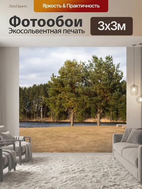 Фотообои Деревья