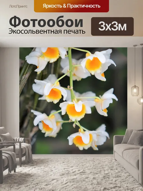 Фотообои Золотой камень дуб