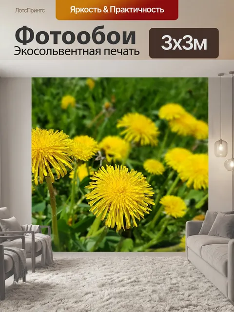 Фотообои Цветы