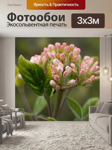 Фотообои Цветы