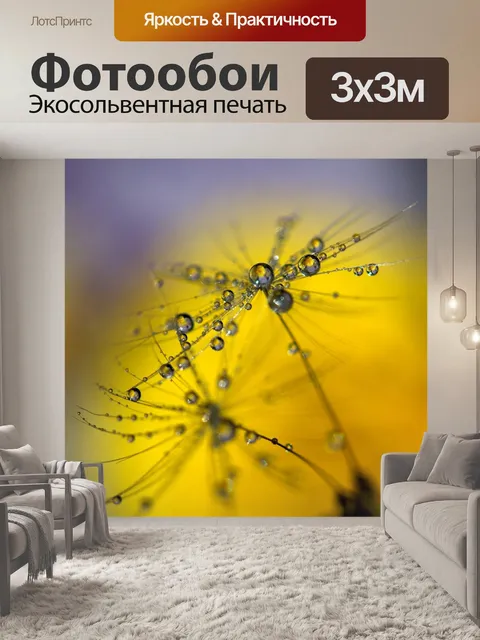 Фотообои Одуванчик