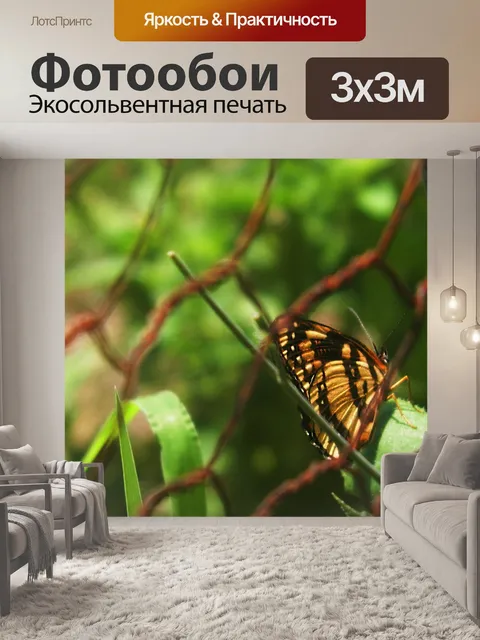 Фотообои Летать
