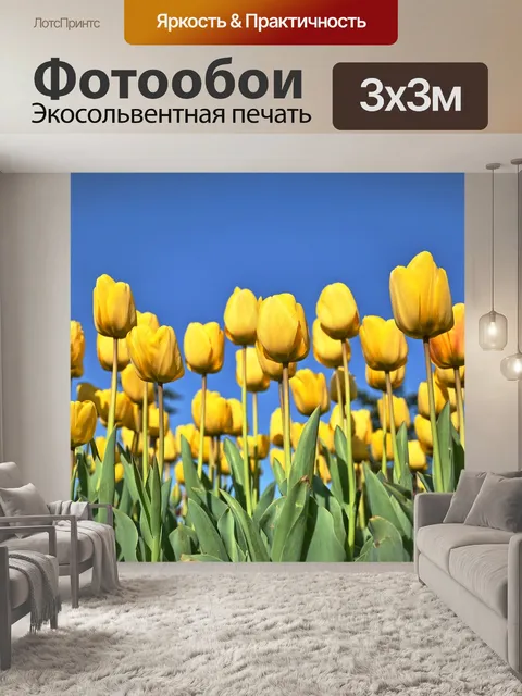 Фотообои Тюльпаны