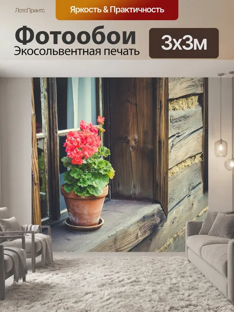 Фотообои Цветок на старом подоконнике