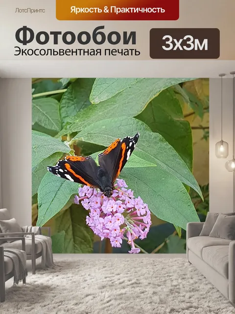 Фотообои Бабочка