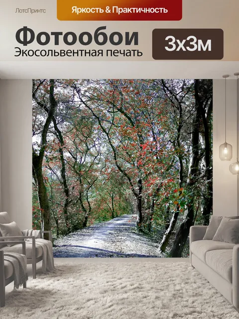 Фотообои Путь Лес 2