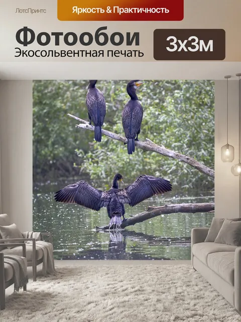 Фотообои Птица