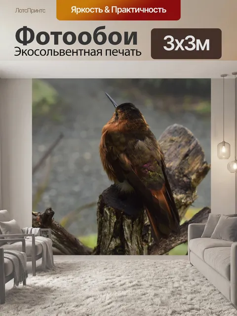 Фотообои Птица