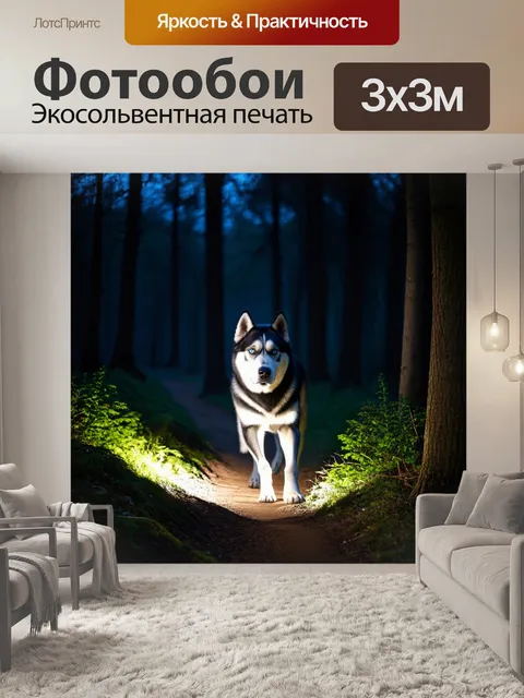 Фотообои хаски с фонариком, исследующий лес в ночное время, свет от фонарика освещает тропу