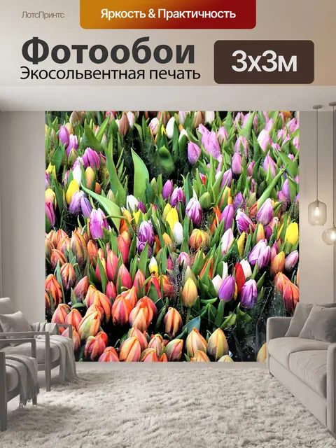 Фотообои Тюльпаны