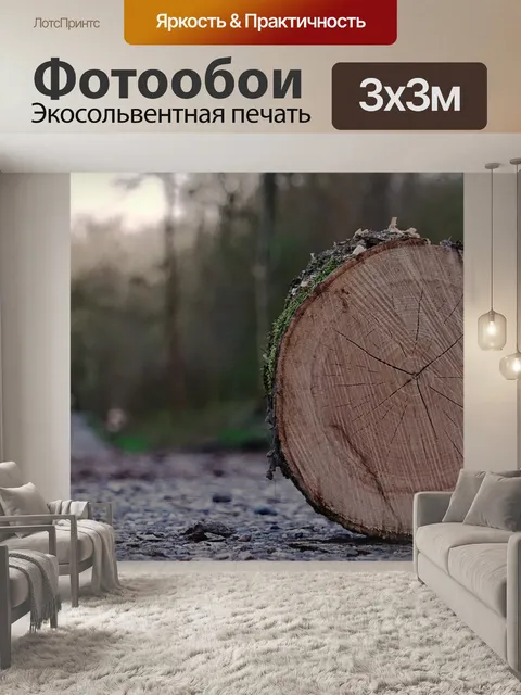 Фотообои Мох