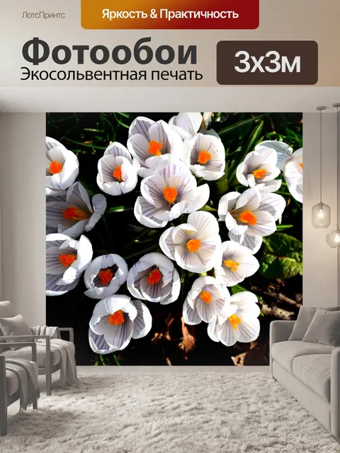 Фотообои Ницца цветов
