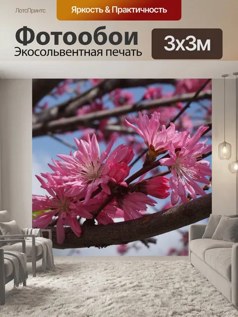 Фотообои Цветы