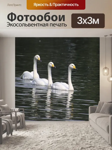 Фотообои Лебеди