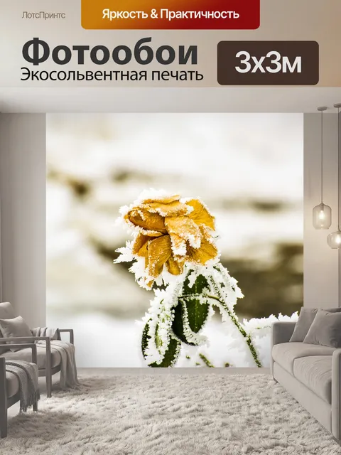 Фотообои Роза