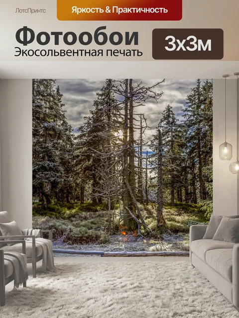 Фотообои Путь в гору Есеник