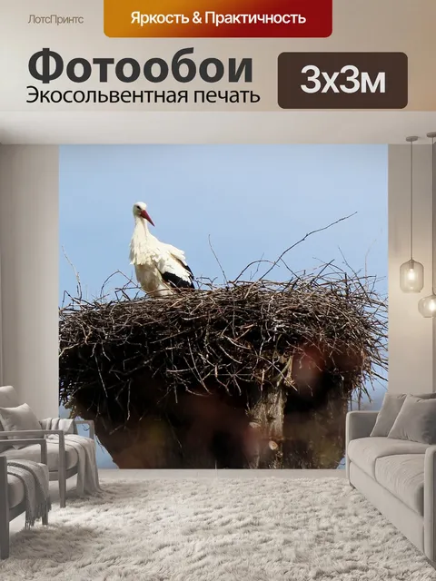 Фотообои Животные