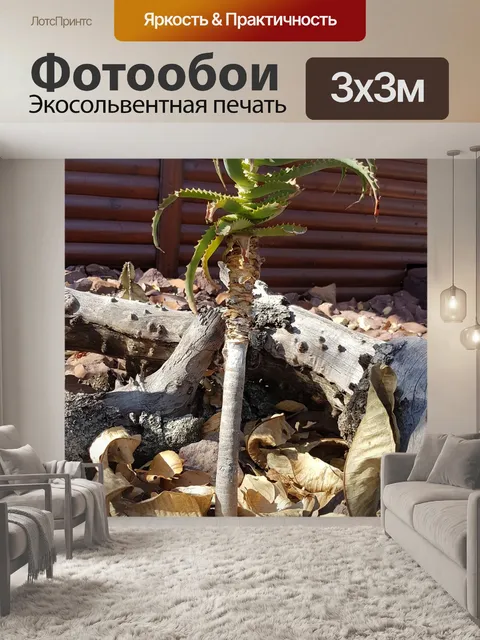 Фотообои Цветы