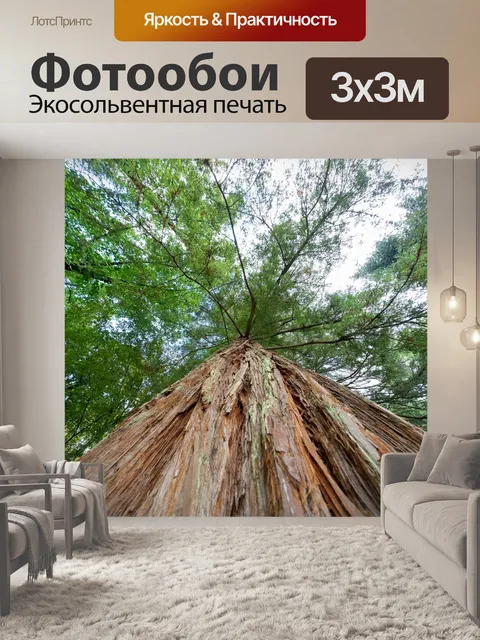 Фотообои Природа