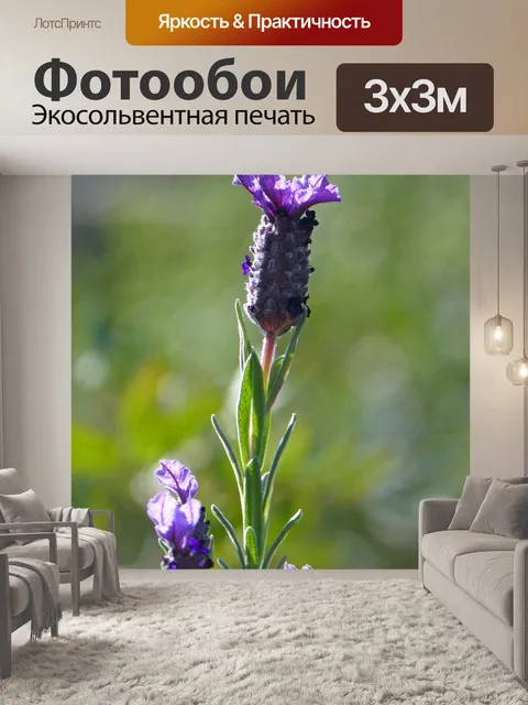 Фотообои Лаванда