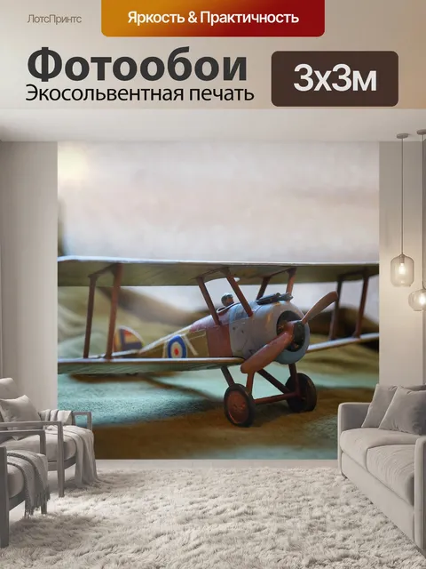 Фотообои Биплан