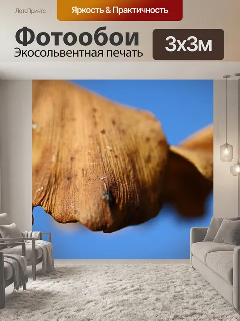 Фотообои текстура на сухом листе гинкго билоба