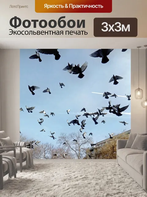 Фотообои Птицы