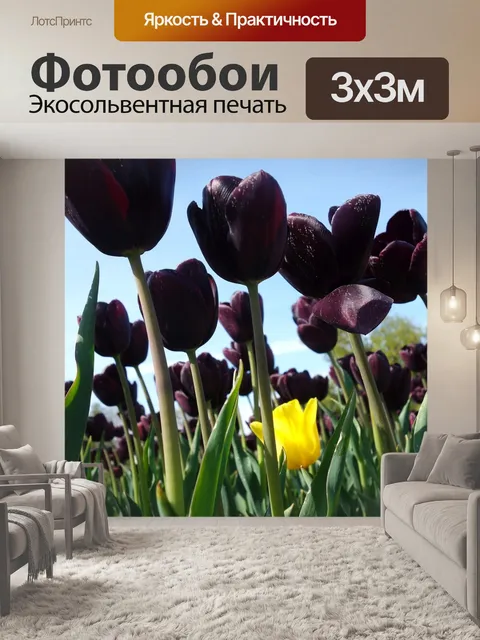 Фотообои Тюльпаны