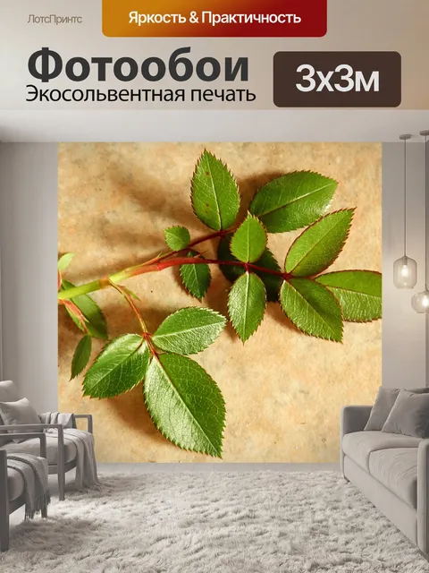 Фотообои Листья