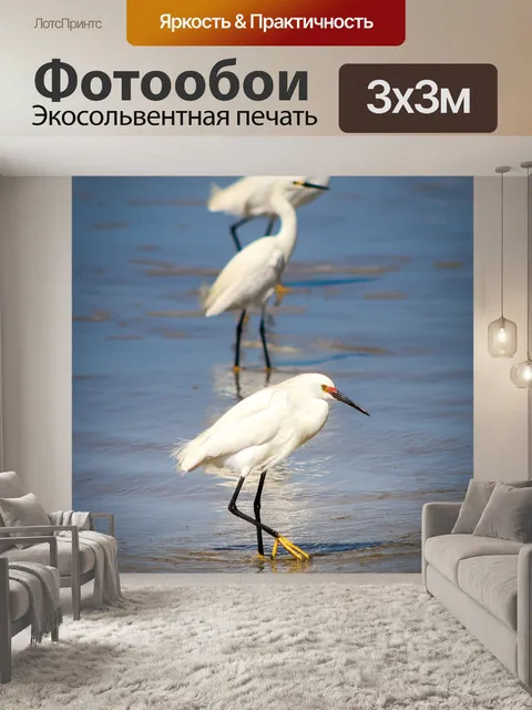 Фотообои Птицы
