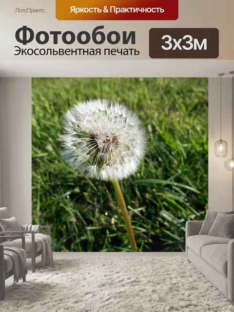 Фотообои Одуванчик