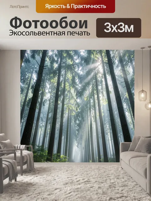 Фотообои Туманный хвойный лес с солнцем
