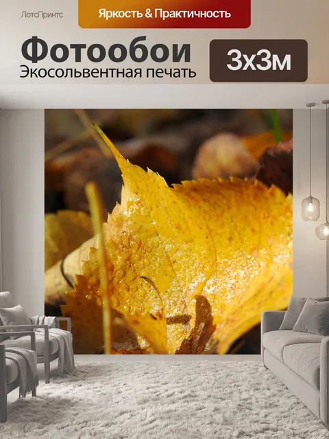 Фотообои Падение