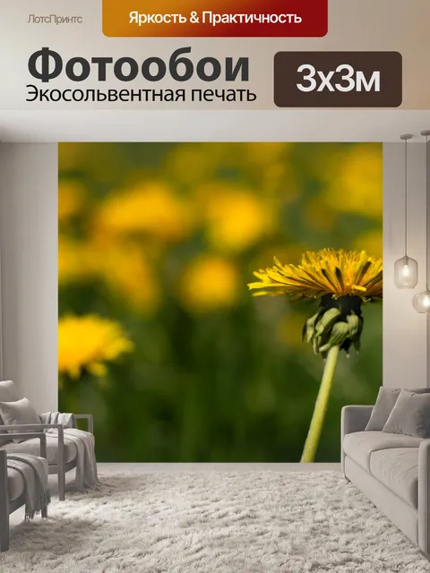 Фотообои Одуванчик
